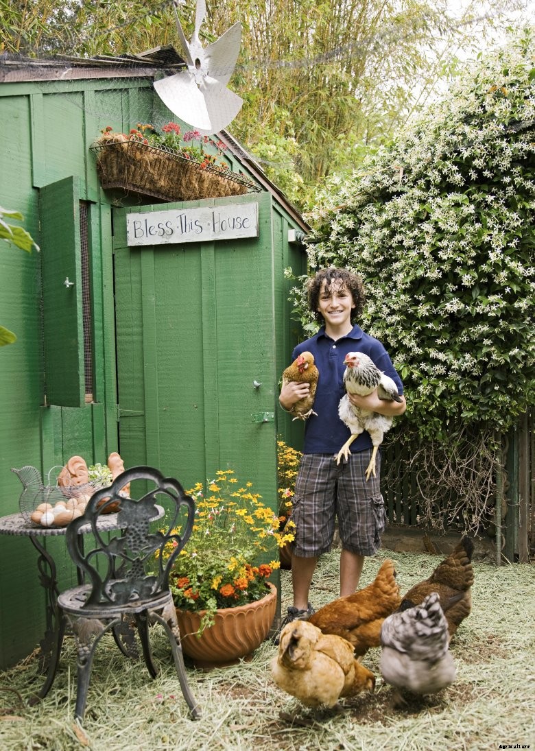 1016134692680783213a60aba9232326fdc8cac4b7f1191fe_green_shed